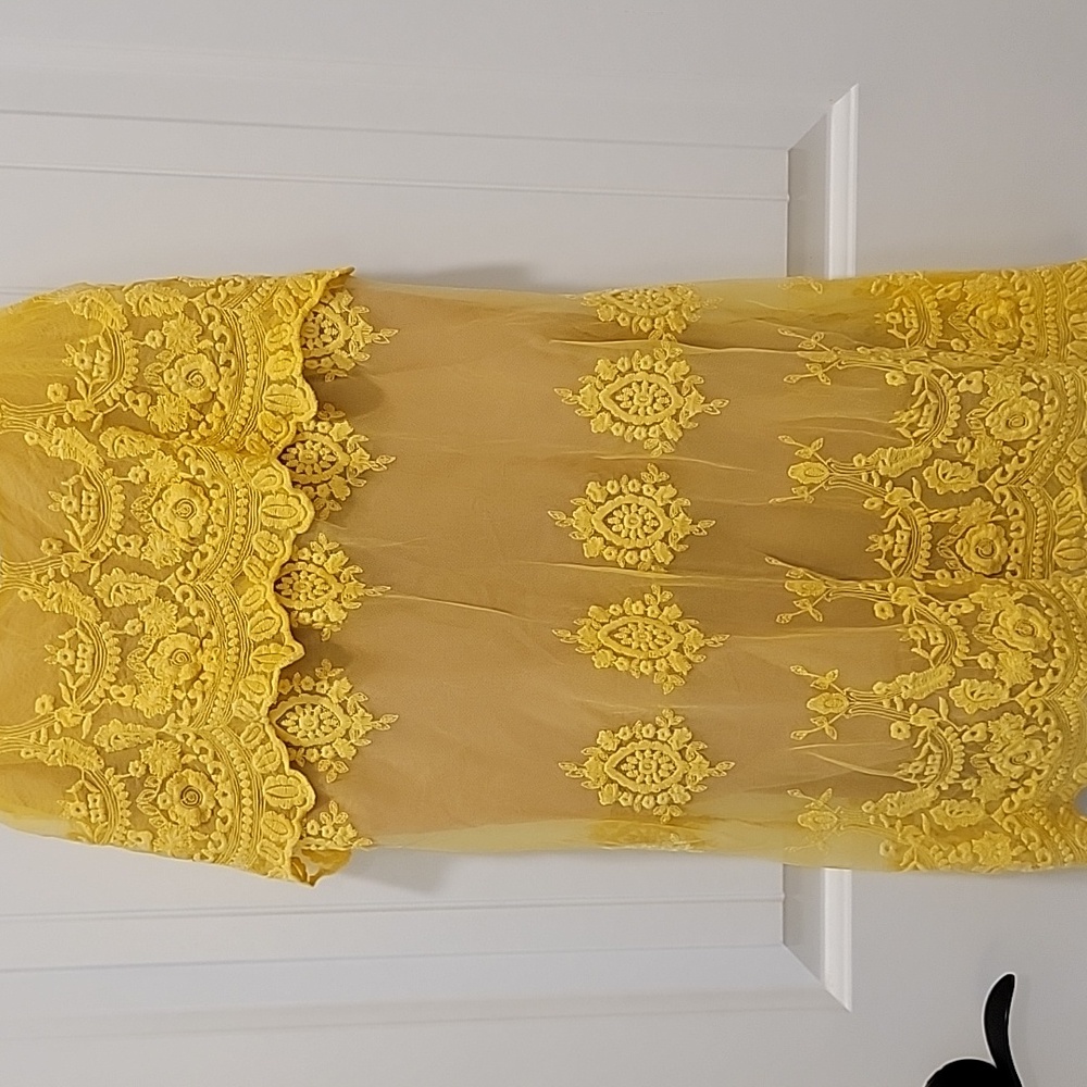 Deja Vu Sleeveless Mini Embroidered Mesh Lace Dress Size Small - Picture 6 of 12